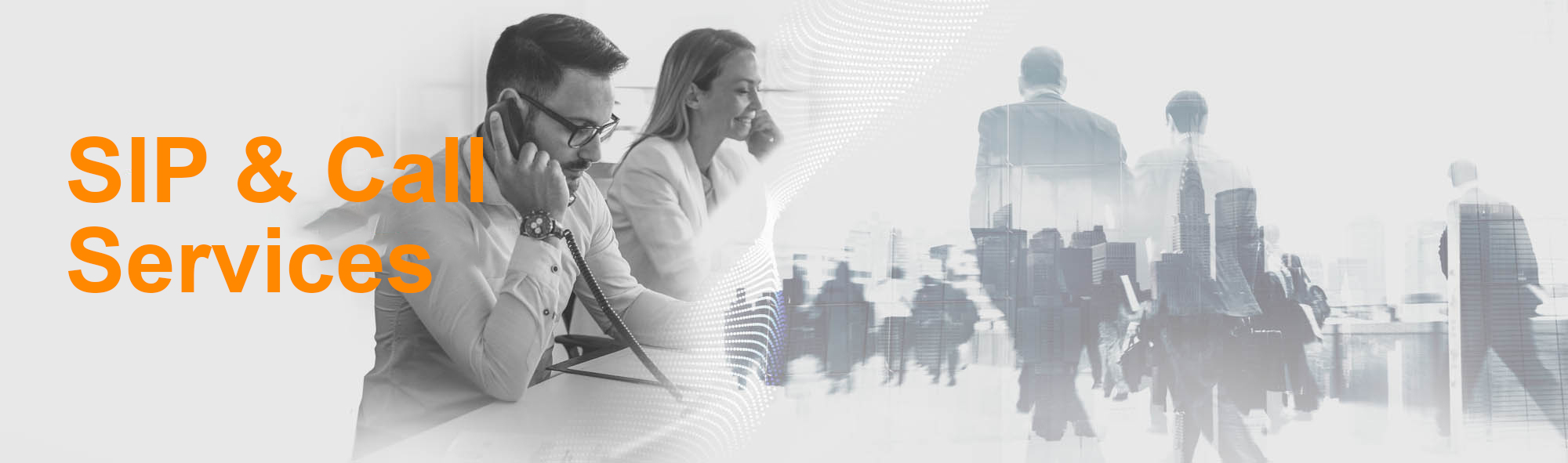 SIP & Call Services Banner